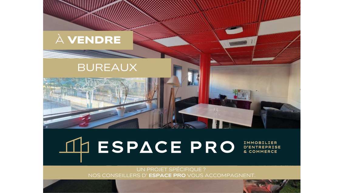 Immobilier Professionnel à vendre