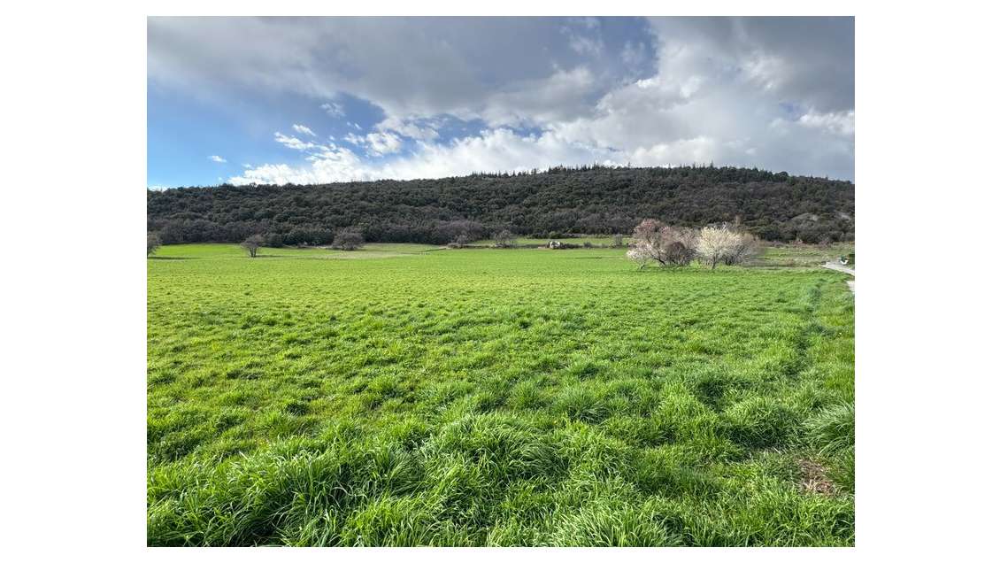À vendre ou louer bureaux médicaux au Brusquet