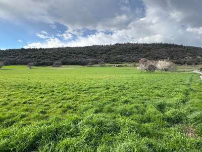 Vente Bureaux au Brusquet