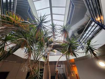 Vente Bureaux à Montpellier
