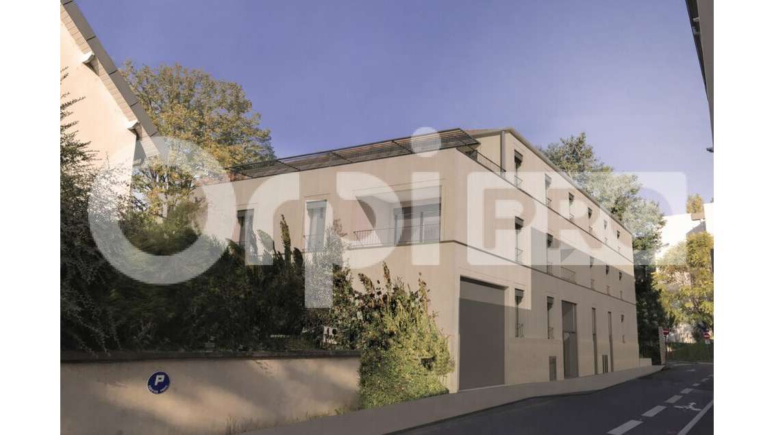 A vendre 4 pièces rez de jardin Neuville sur Saône