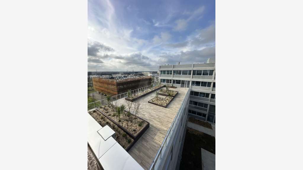 Vente bureau aménagé non cloisonné 216m² à Rennes