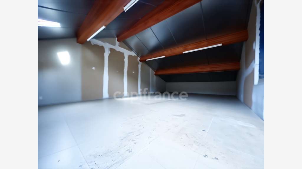 Vente local professionnel atelier de 171m² Roanne