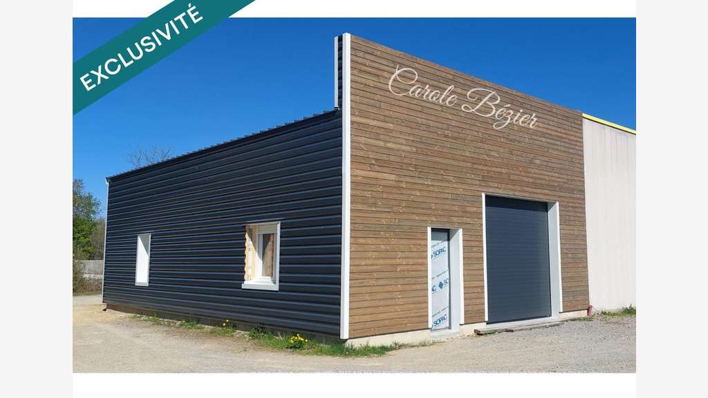 Local Professionnel en Z.A.