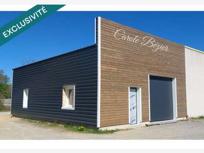 Local Professionnel en Z.A.