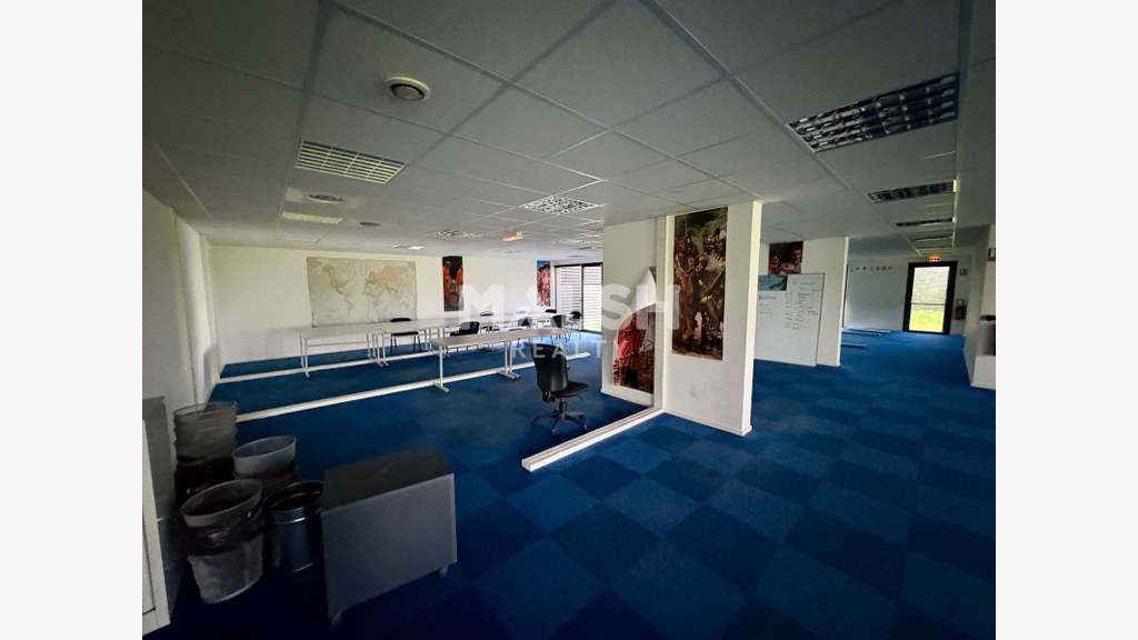 Vente bureaux 753m² à Saint Symphorien sur Coise