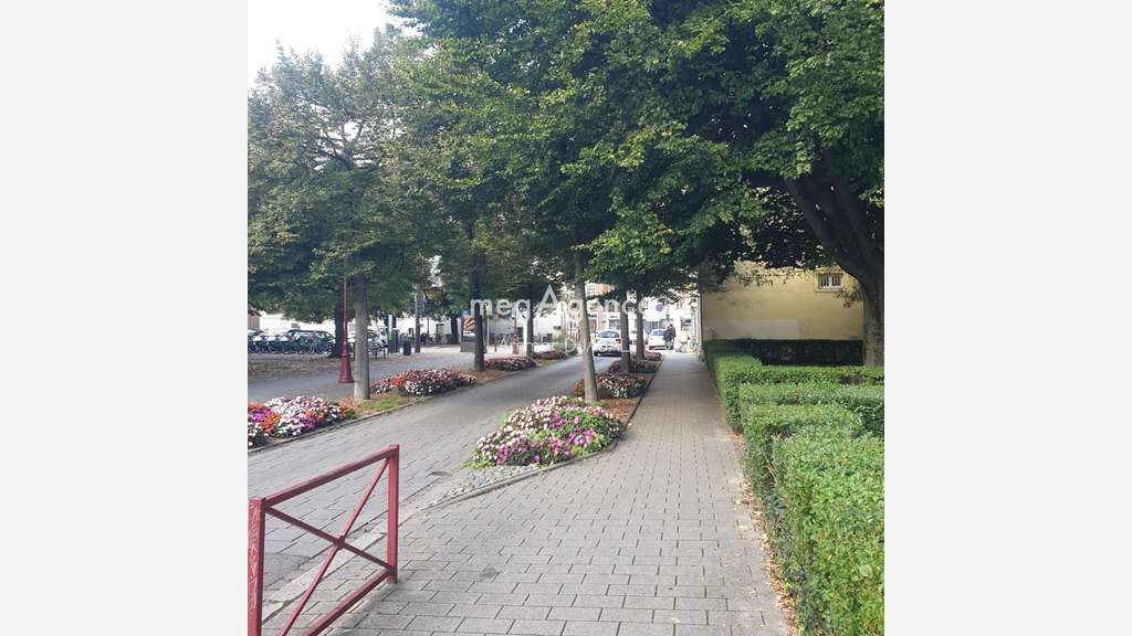 Local modulable de 2630m² au cœur de Schiltigheim