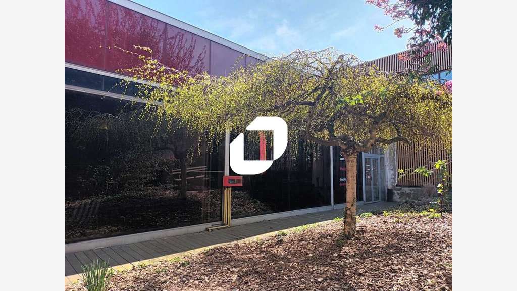 Vente Bureaux 300m² Villeneuve d'ascq