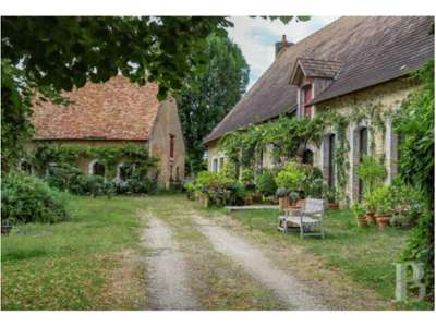 Vente Locaux commerciaux - Boutiques à Crannes-en-Champagne