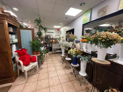 AV très beau fleuriste de notoriété sur Nice