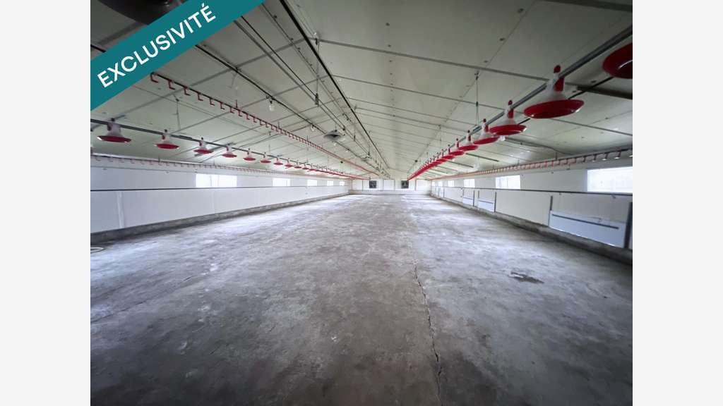 Vente stockage pro 1850m² couverts à Isserteaux 