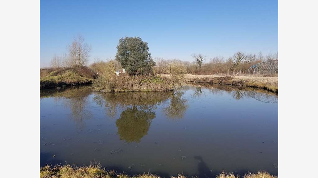 Entrepôt agricole de 600m² à vendre à Bruges