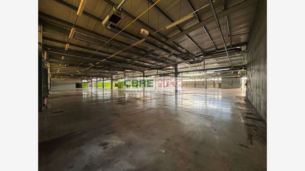 Vente entrepôt 7912m² à Lons Technord