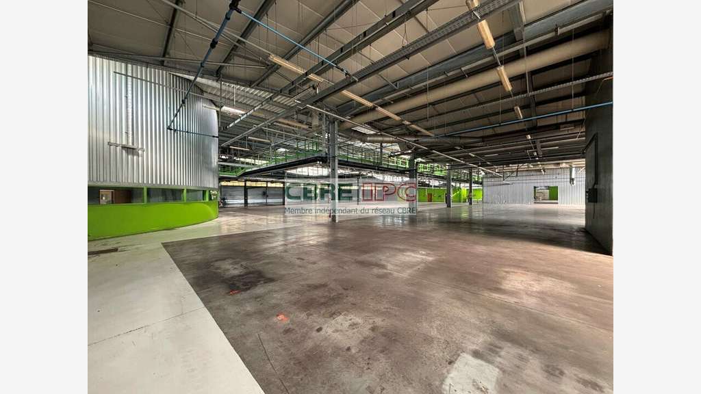 Vente entrepôt 7912m² à Lons Technord