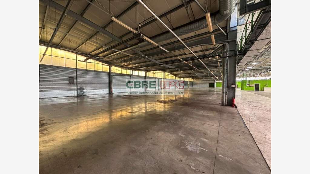 Vente entrepôt 7912m² à Lons Technord