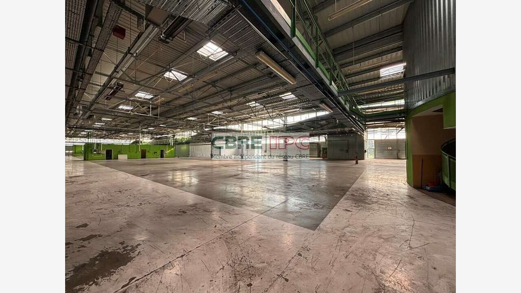 Vente entrepôt 7912m² à Lons Technord