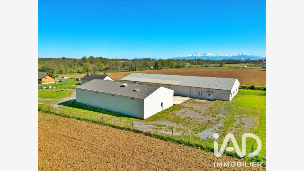 Vente 2 entrepôts de stockage 1230m² à Luquet