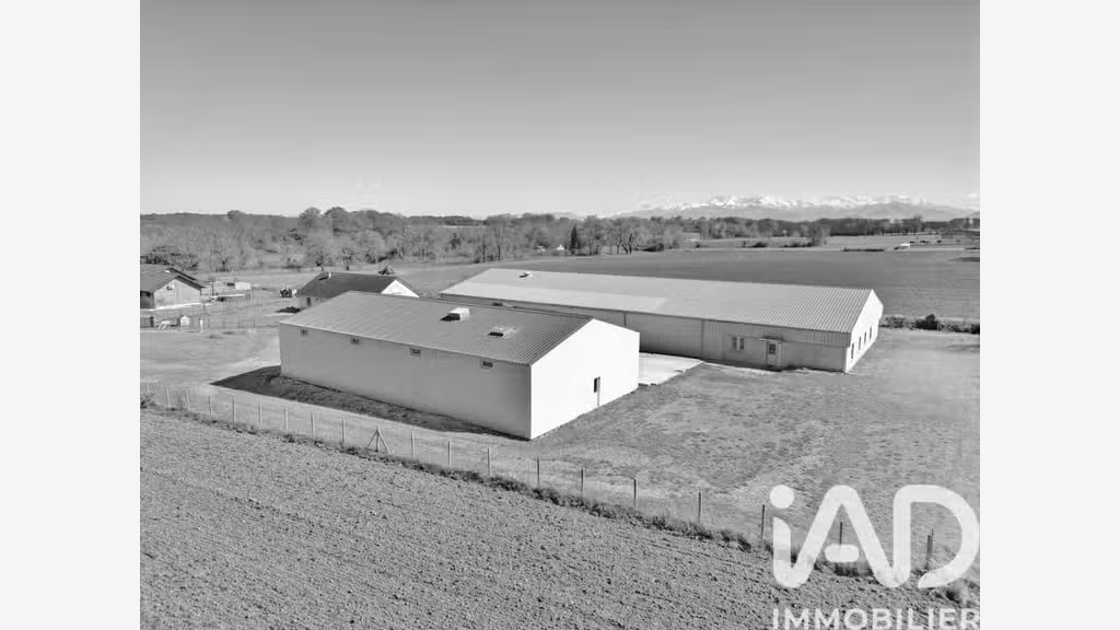 Vente 2 entrepôts de stockage 1230m² à Luquet