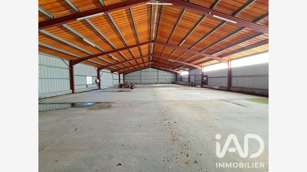 Vente 2 entrepôts de stockage 1230m² à Luquet