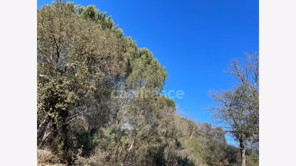 A vendre terrain agricole de 16 930m² à Gassin