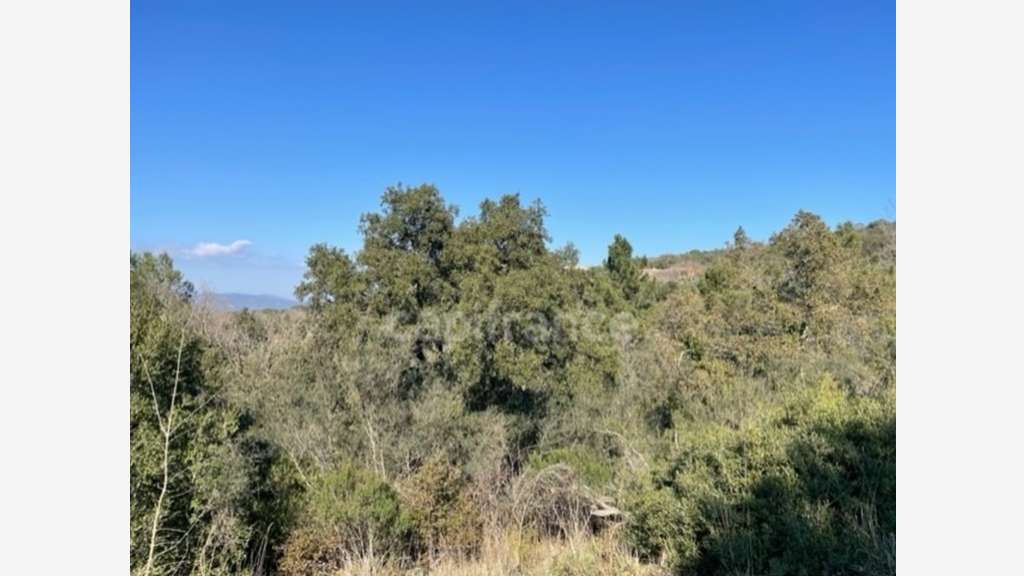 A vendre terrain agricole de 16 930m² à Gassin