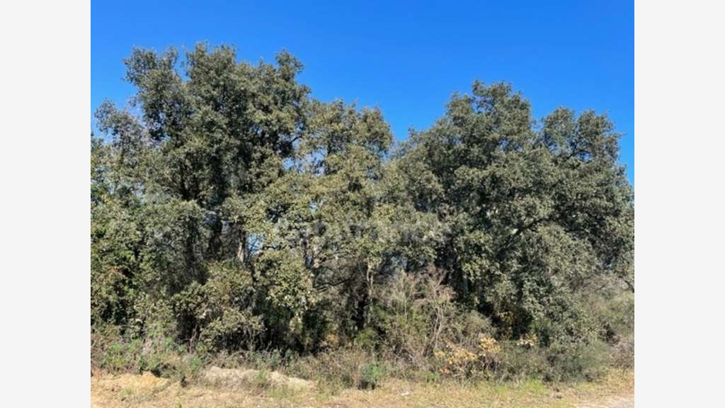 A vendre terrain agricole de 16 930m² à Gassin