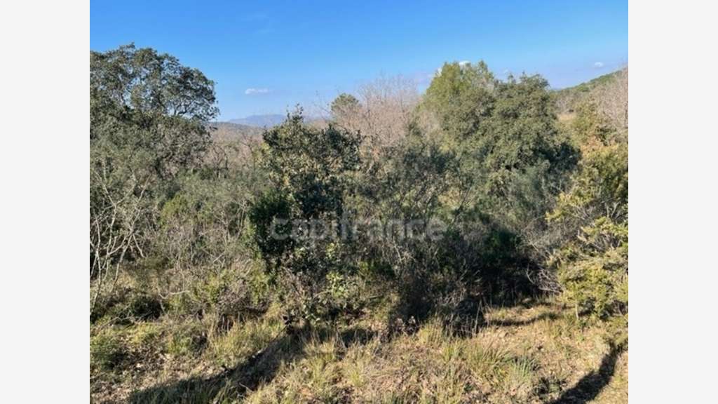 A vendre terrain agricole de 16 930m² à Gassin