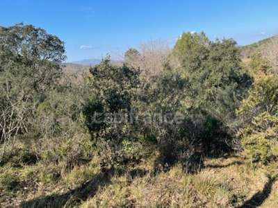 A vendre terrain agricole de 16 930m² à Gassin