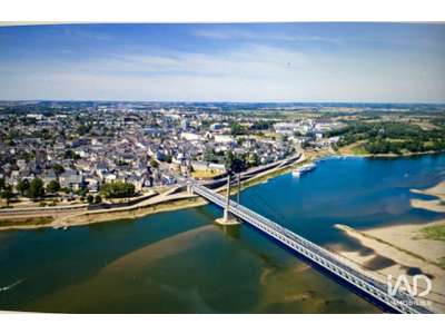 Vente Locaux commerciaux - Boutiques à Ancenis-Saint-Géréon