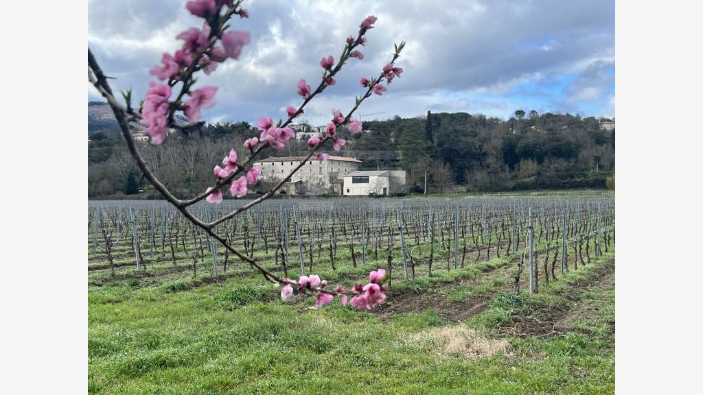 AV domaine d'exception 350m² Béziers cadre idéal