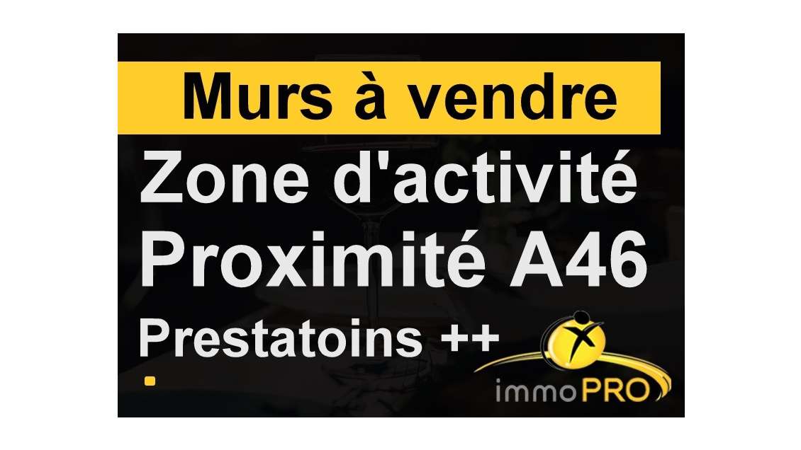 Vente local garage mécanique de 190m² à Genay