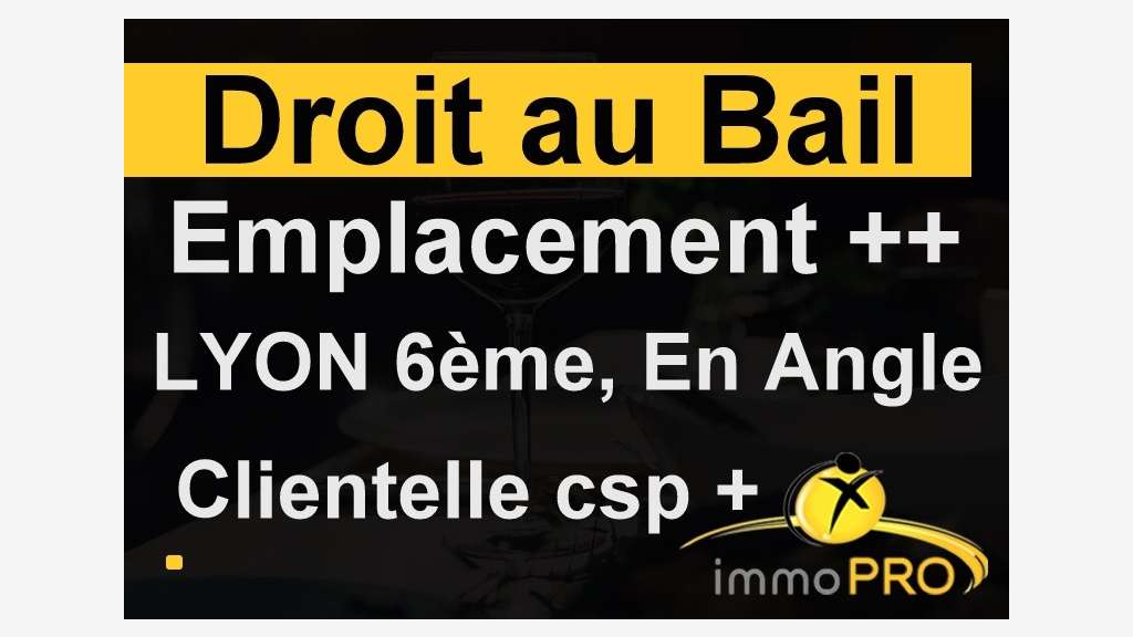 Superbe DAB petit prix idéalement situé à Lyon