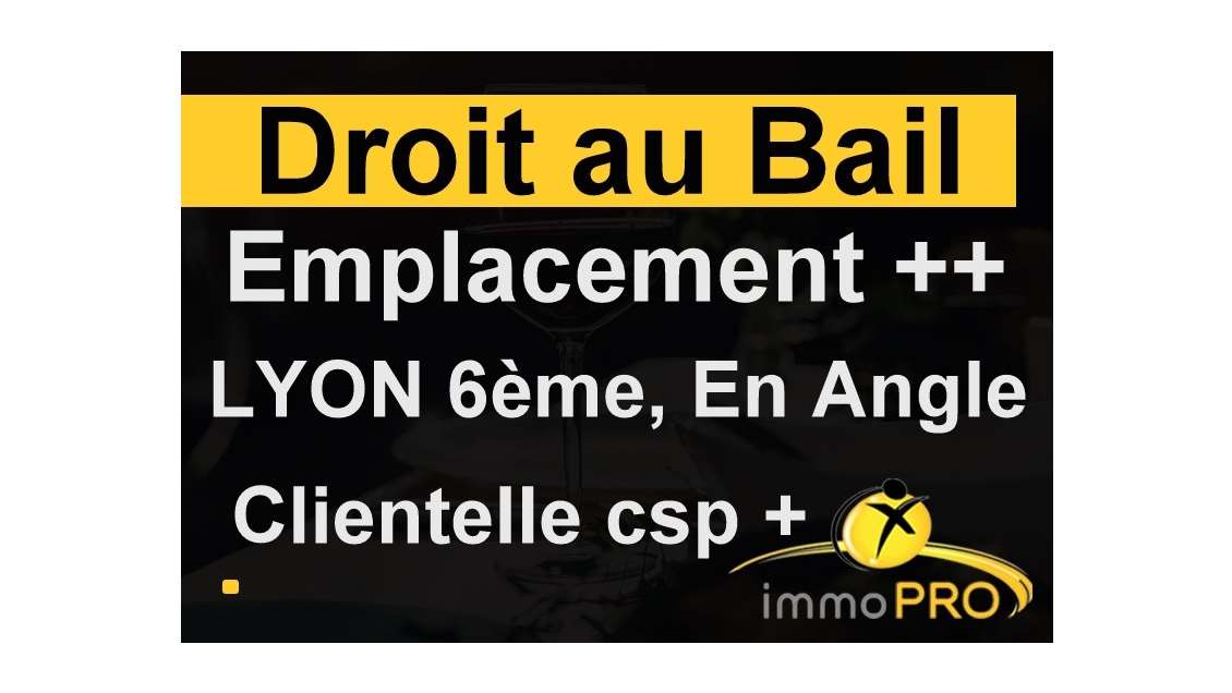 Superbe DAB petit prix idéalement situé à Lyon