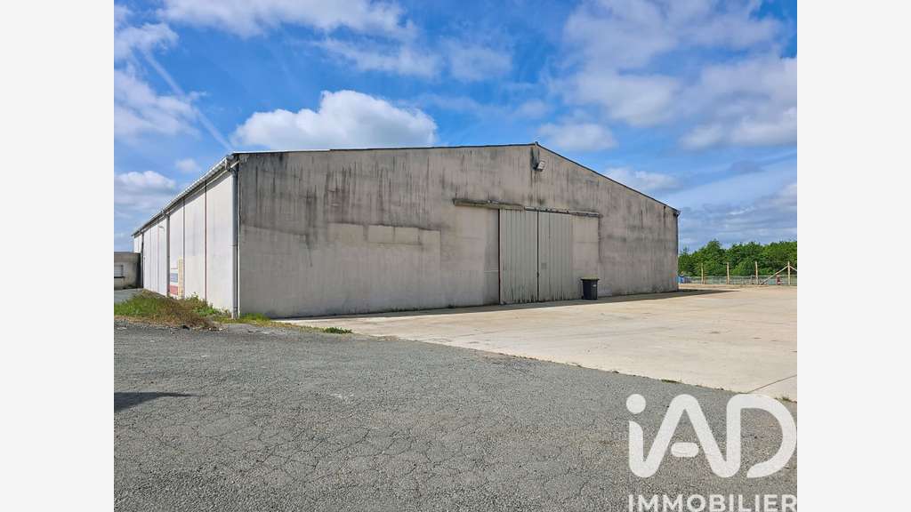 Vente bâtiment 1080m² sur 8000m² à Mozé-sur-Louet