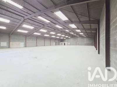 Vente Locaux d'activités - Entrepôts à Mozé-sur-Louet