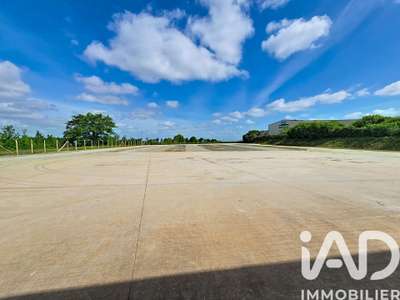 Vente Locaux d'activités - Entrepôts à Mozé-sur-Louet