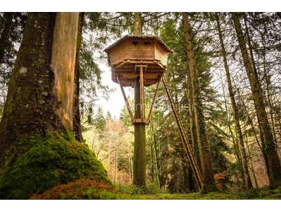 Vente Immeubles commerciaux / Mixtes à Saint-Gervais-d'Auvergne