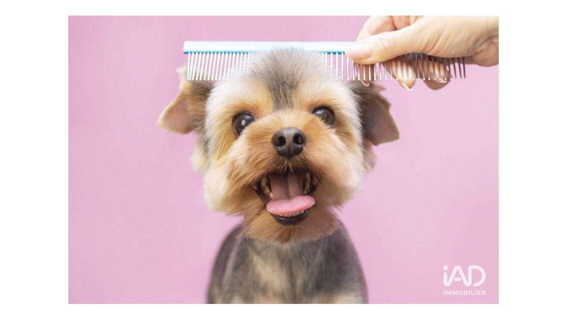 Boutique à Saint-Ouen-l'Aumône