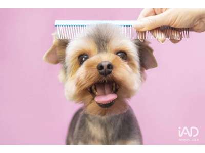 Vente Locaux commerciaux - Boutiques à Saint-Ouen-l'Aumône