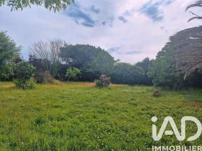 Vente Locaux d'activités - Entrepôts à Saubrigues