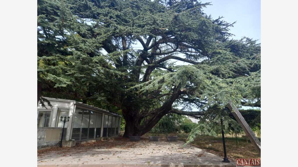 AV domaine d'exception 2000m² Vallée du Rhône
