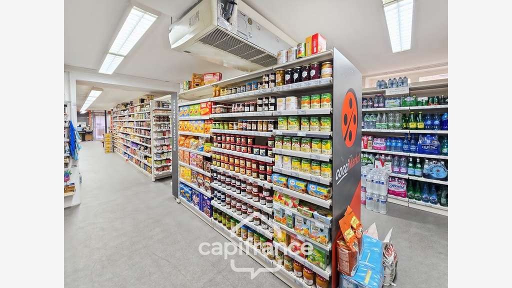 Vente immeuble de rapport 436m² à Boulleret