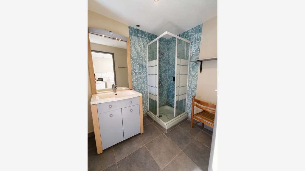 Ensemble immobilier mixte à vendre CARHAIX 