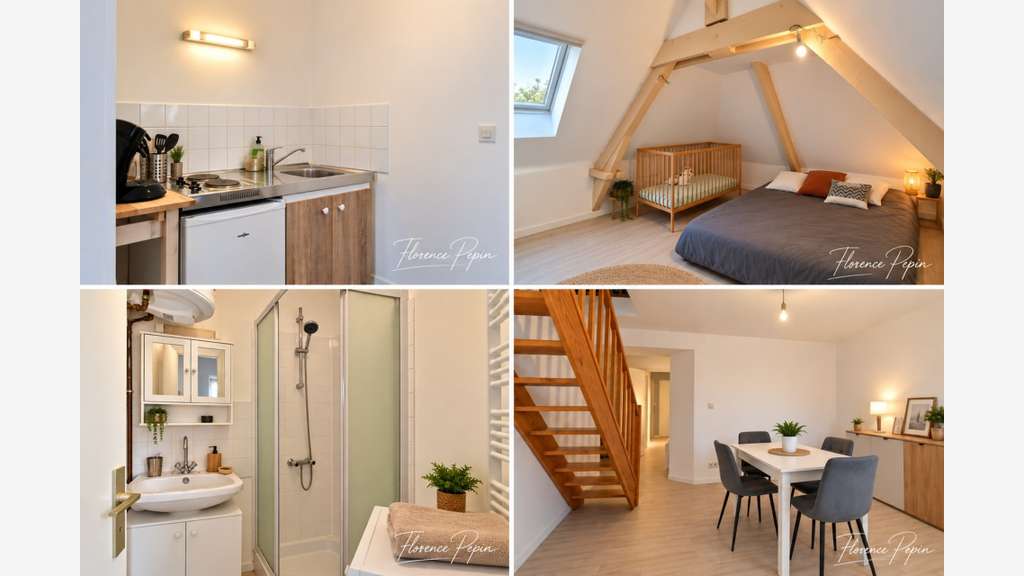 Immeuble à vendre CHAUVE (44)