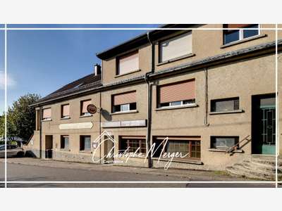Ensemble immobilier 455m² à vendre à Dolving (57)