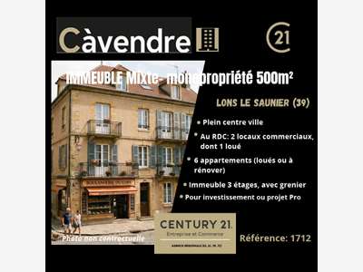 A vendre immeuble mixte en monopropriété à Lons Le