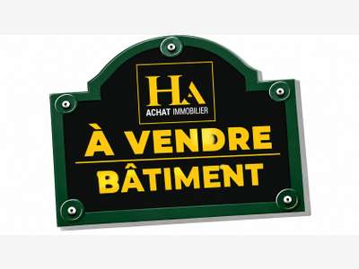 Immeuble Saint Benoit 6 pièce(s) 370 m2
