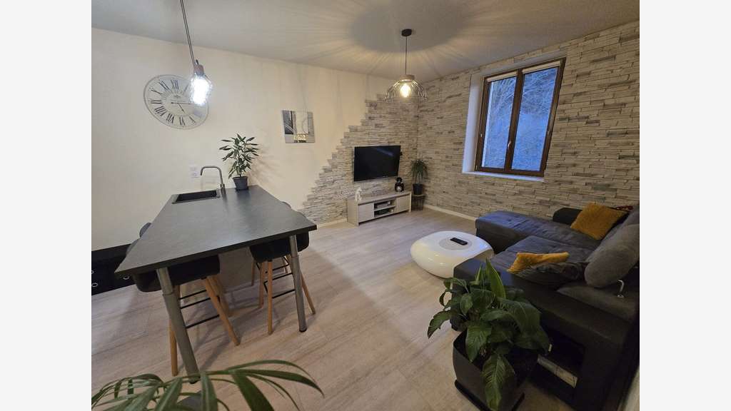 Vente immeuble de rapport avec 2 garages Salmiech
