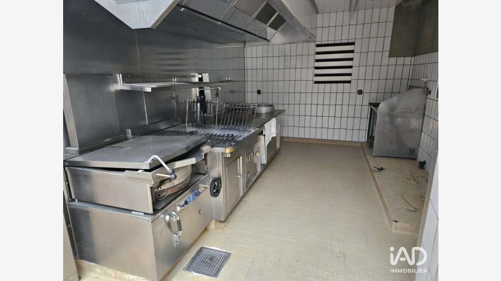 Vente immeuble à Fleury-les-Aubrais