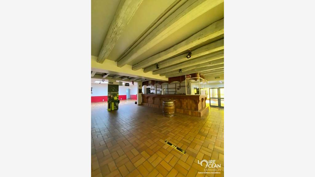Vente immeuble mixte 407m² Aigrefeuille-sur-Maine